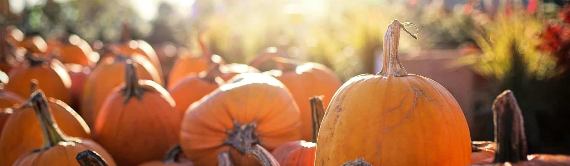 Experience Fall in the Smokey Mountains with Beyond Expectations Vacation Rentals